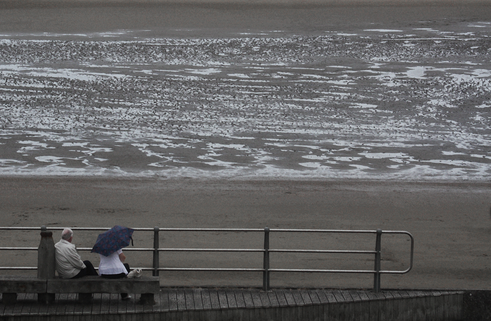 old couple lly beach.jpg